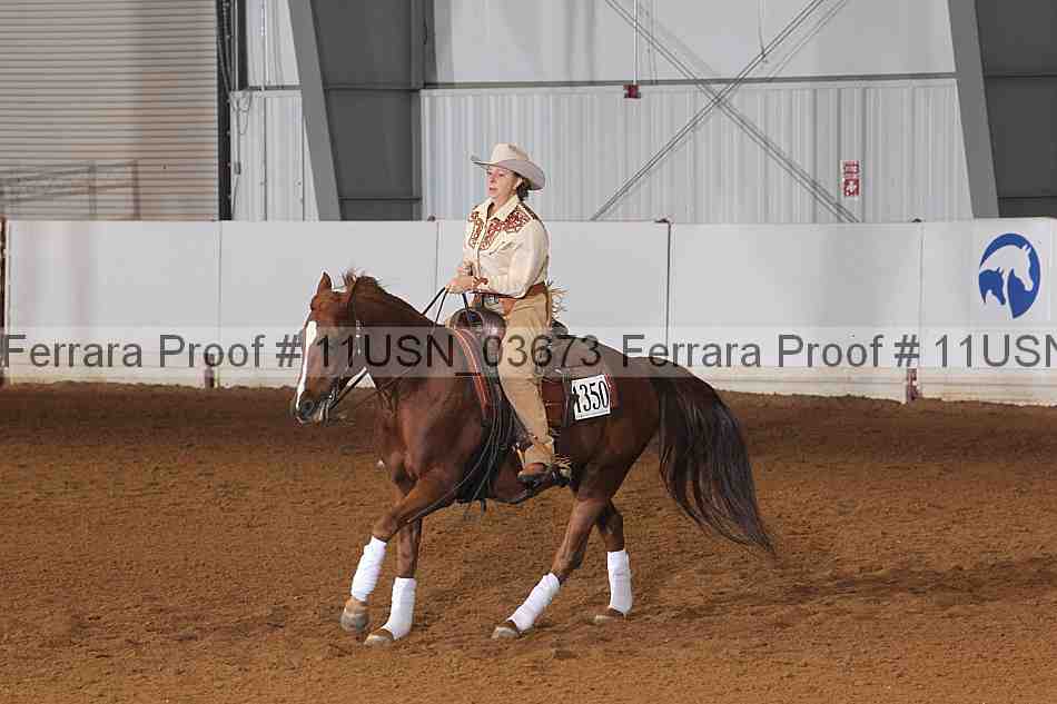 Proof 11usn_03673
