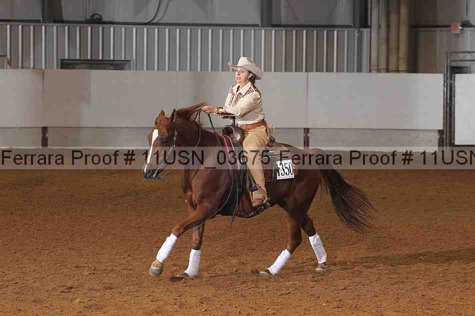 Proof 11usn_03675