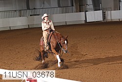 11usn_03678 proof