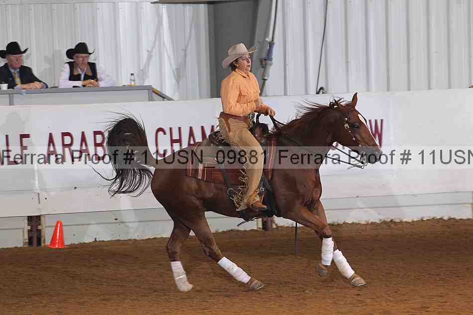 Proof 11usn_09881
