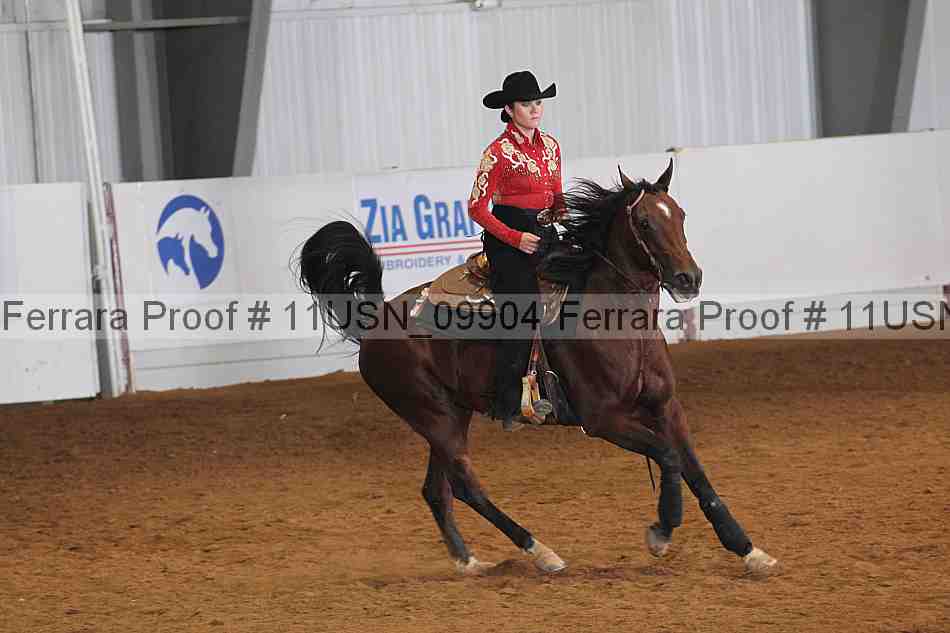 Proof 11usn_09904
