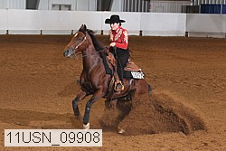 11usn_09908 proof