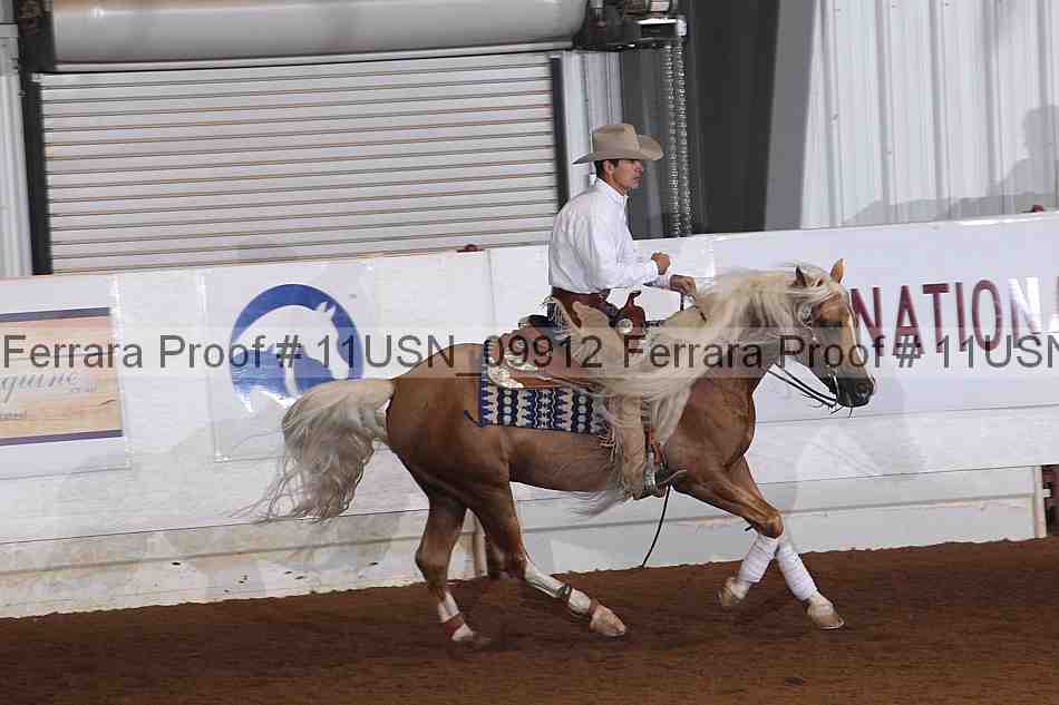 Proof 11usn_09912