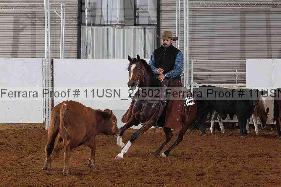 Proof 11usn_24502