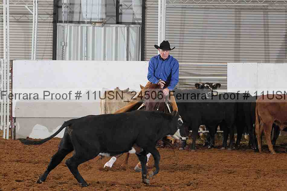 Proof 11usn_24506