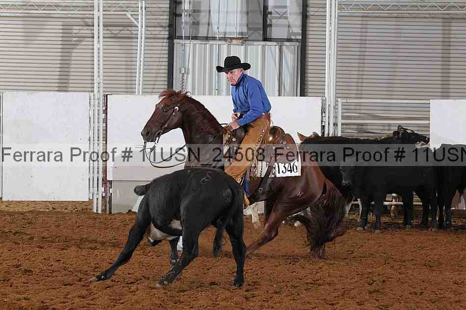 Proof 11usn_24508