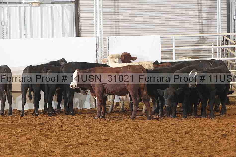 Proof 11usn_31021