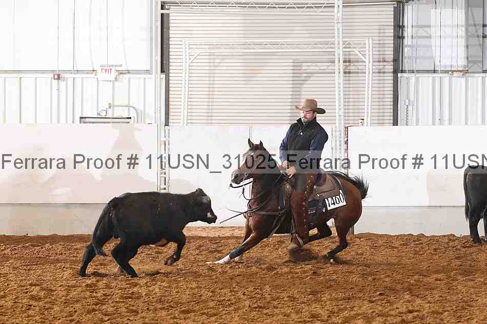 Proof 11usn_31025