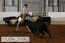 11usn_31062 proof