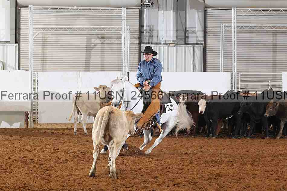 Proof 11usn_24566