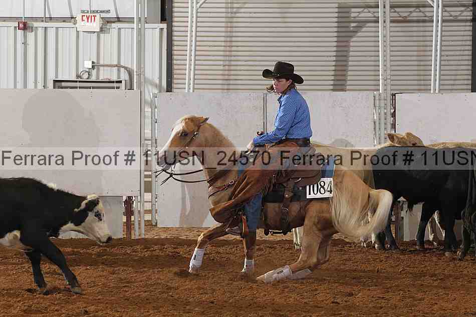 Proof 11usn_24570