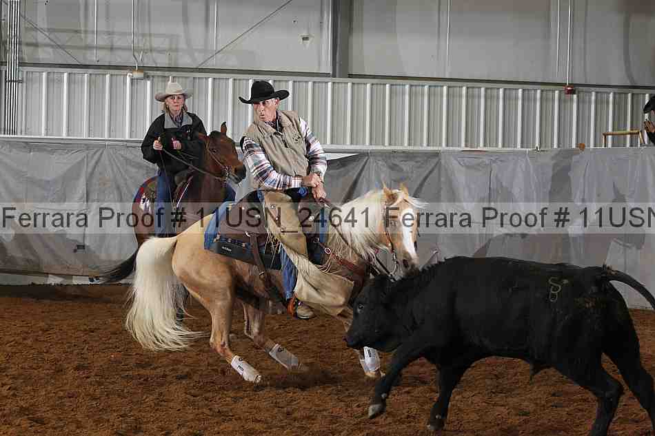 Proof 11usn_24641
