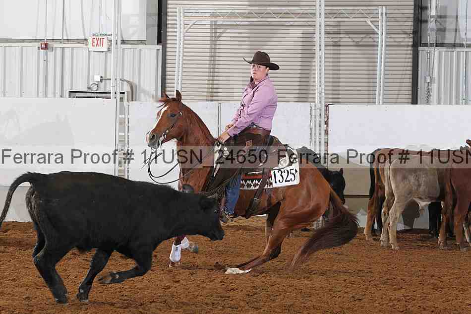 Proof 11usn_24650