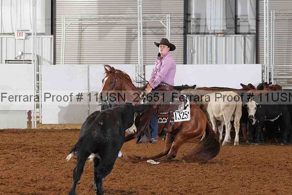 Proof 11usn_24651