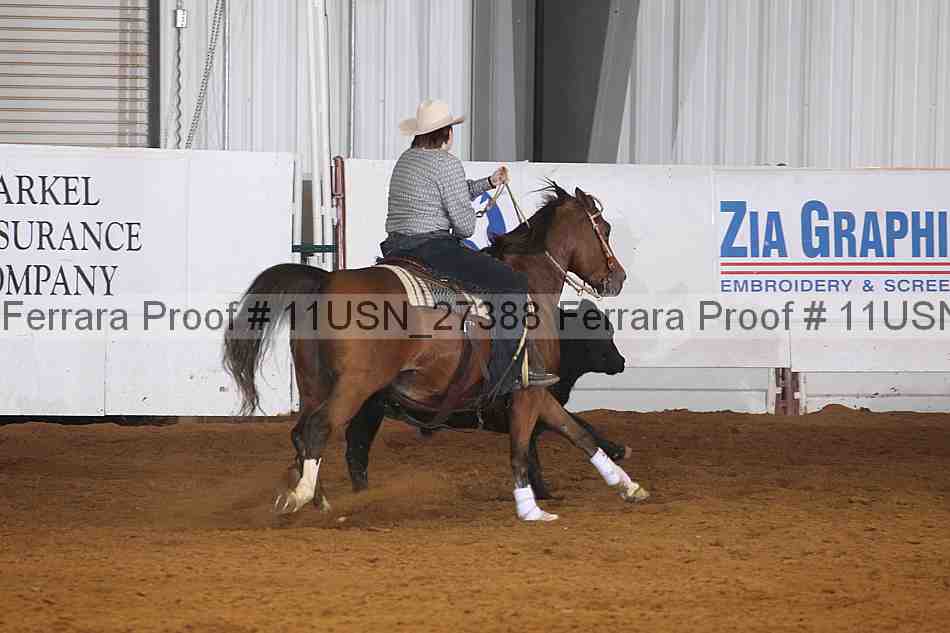 Proof 11usn_27388
