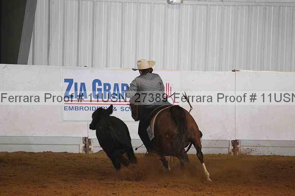 Proof 11usn_27389