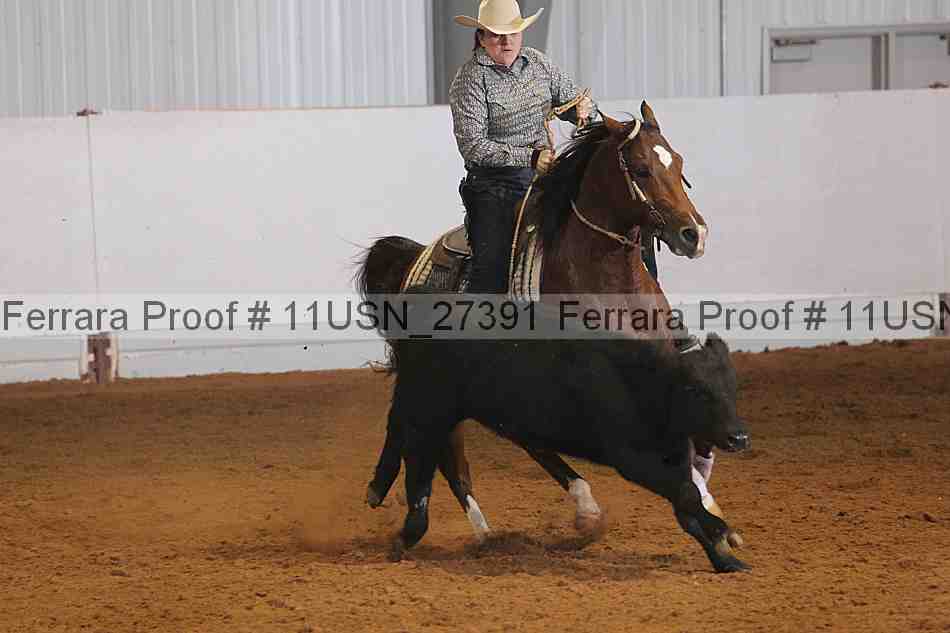 Proof 11usn_27391