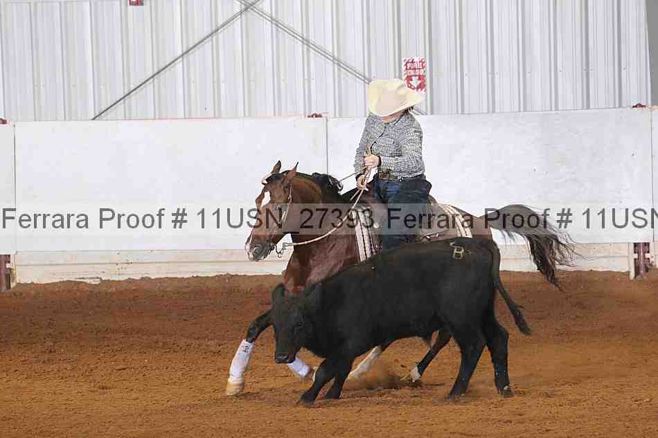 Proof 11usn_27393