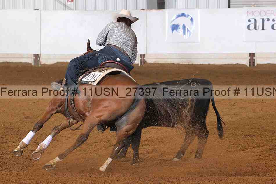Proof 11usn_27397