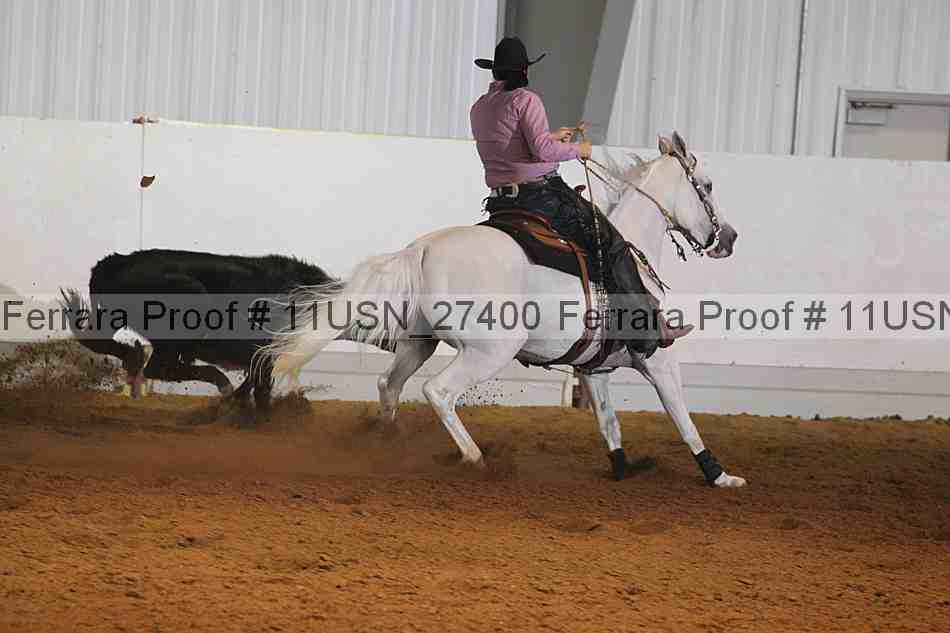 Proof 11usn_27400