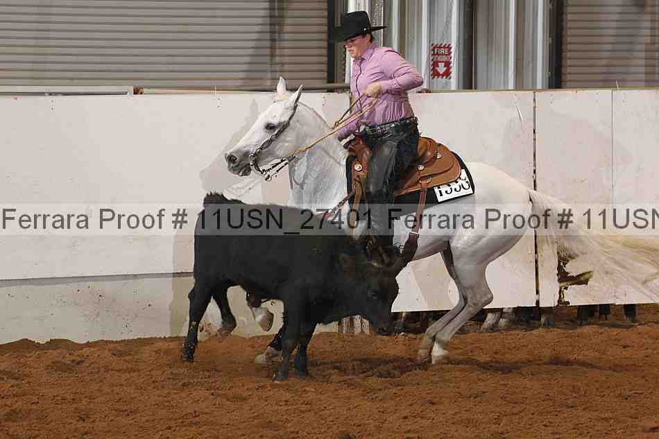 Proof 11usn_27401