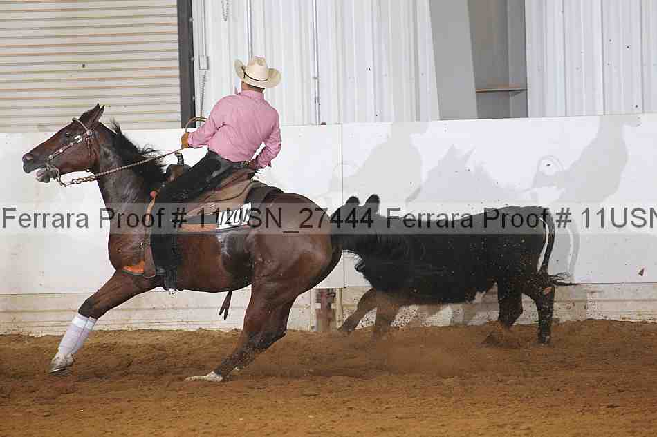 Proof 11usn_27444