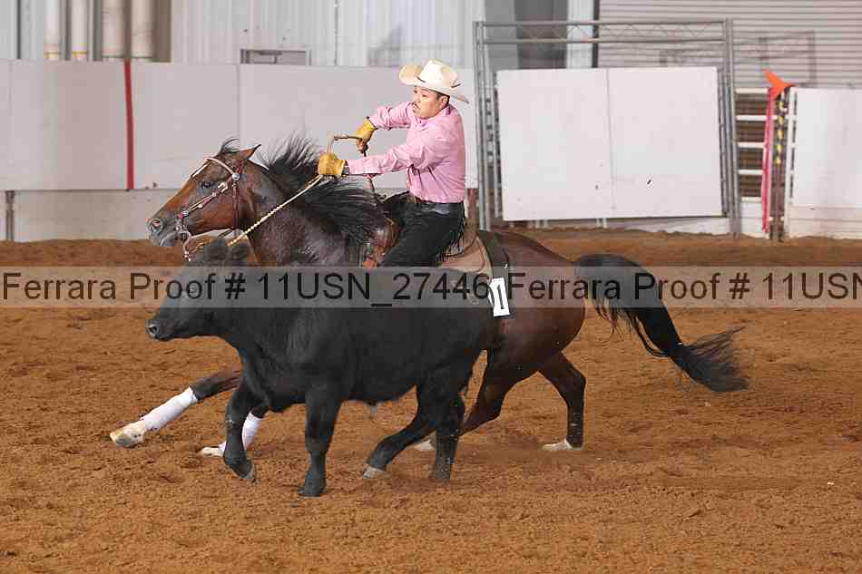 Proof 11usn_27446