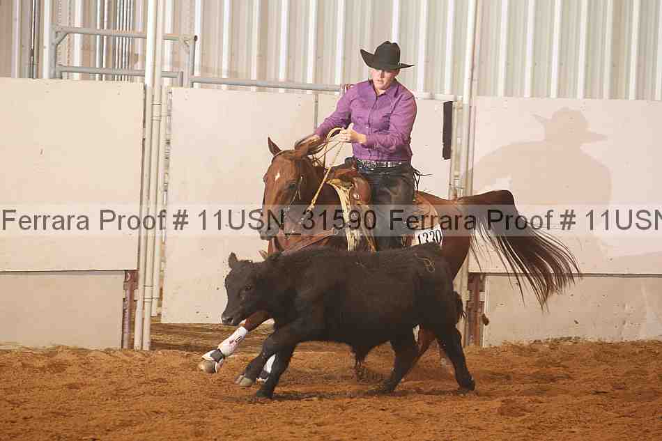 Proof 11usn_31590