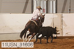 11usn_31606 proof