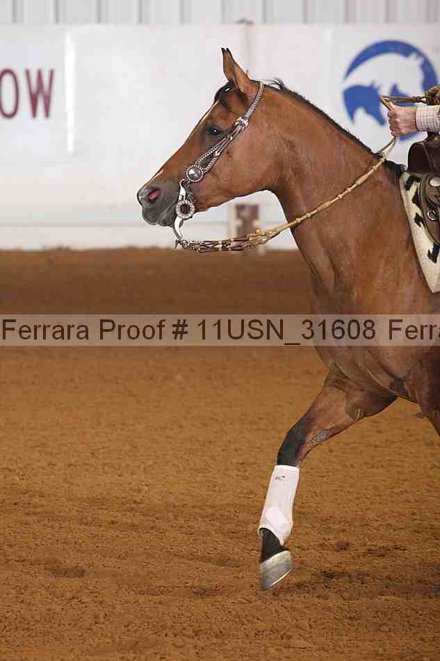 Proof 11usn_31608