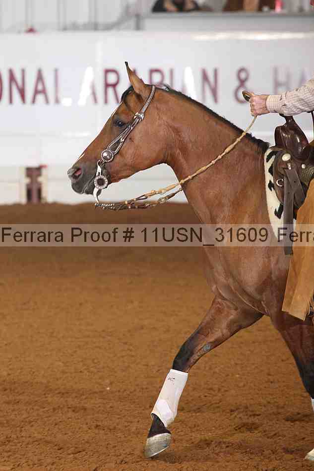 Proof 11usn_31609