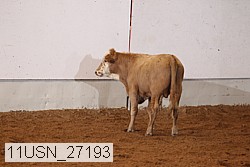11usn_27193 proof