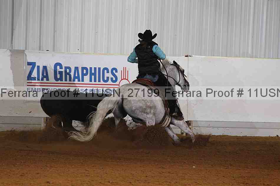 Proof 11usn_27199