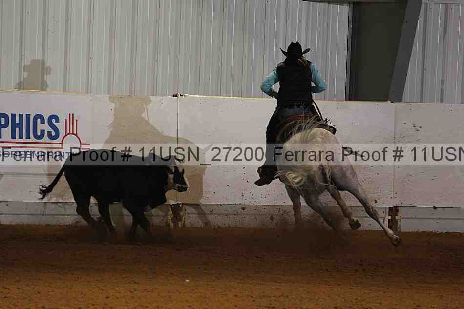 Proof 11usn_27200