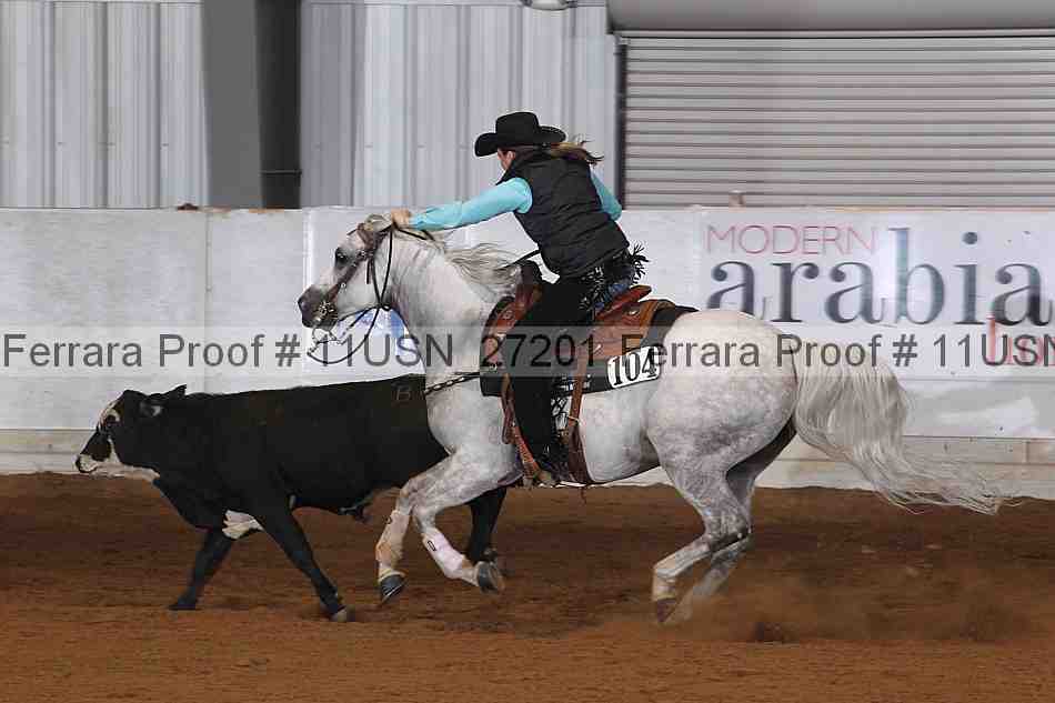 Proof 11usn_27201