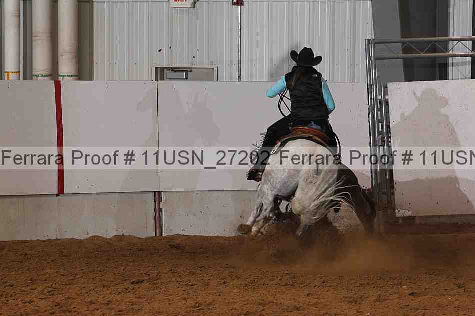 Proof 11usn_27202