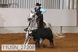 11usn_27208 proof