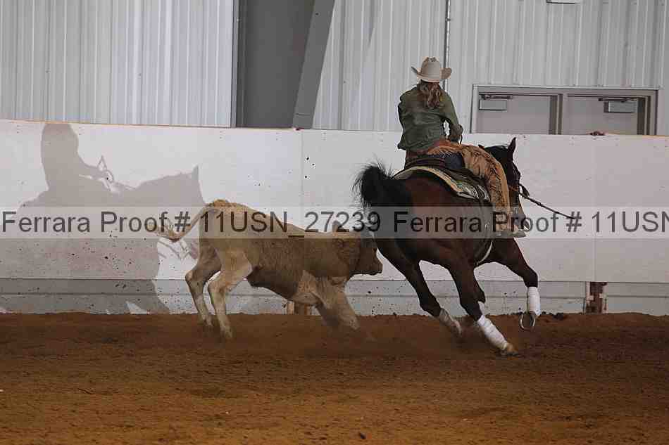Proof 11usn_27239