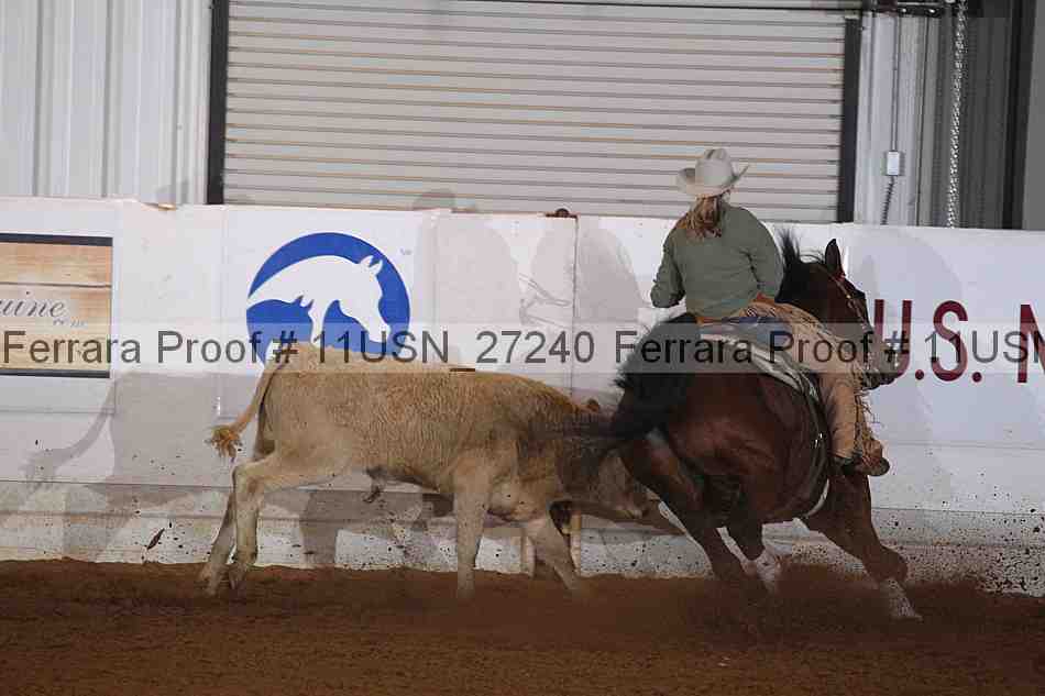 Proof 11usn_27240