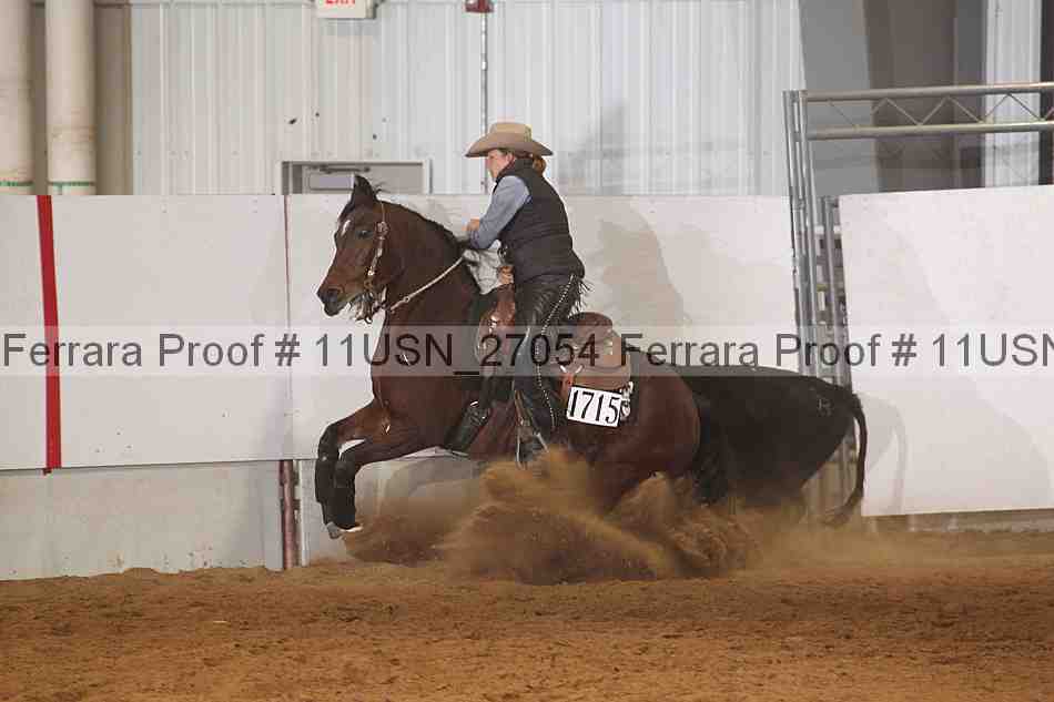 Proof 11usn_27054