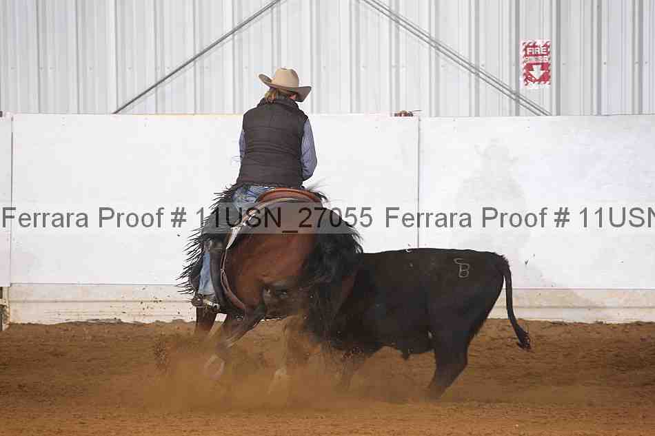 Proof 11usn_27055