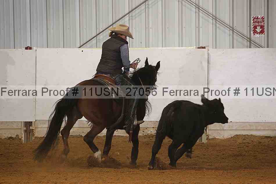Proof 11usn_27056