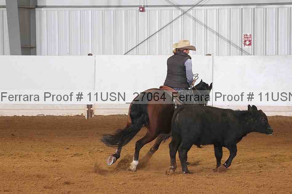 Proof 11usn_27064