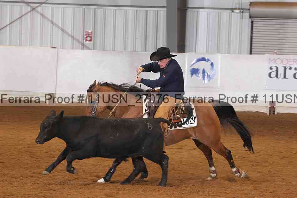 Proof 11usn_27076