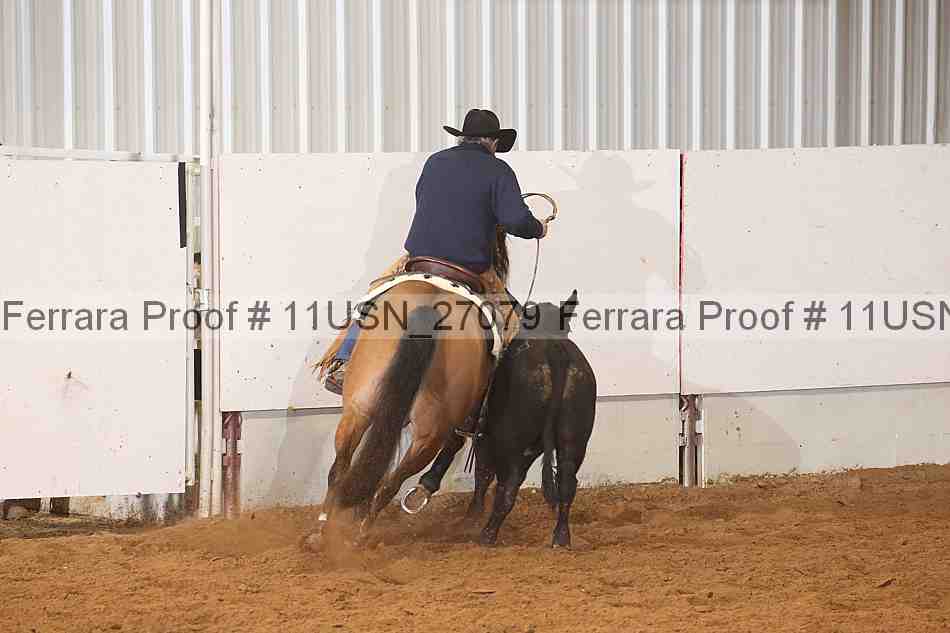 Proof 11usn_27079