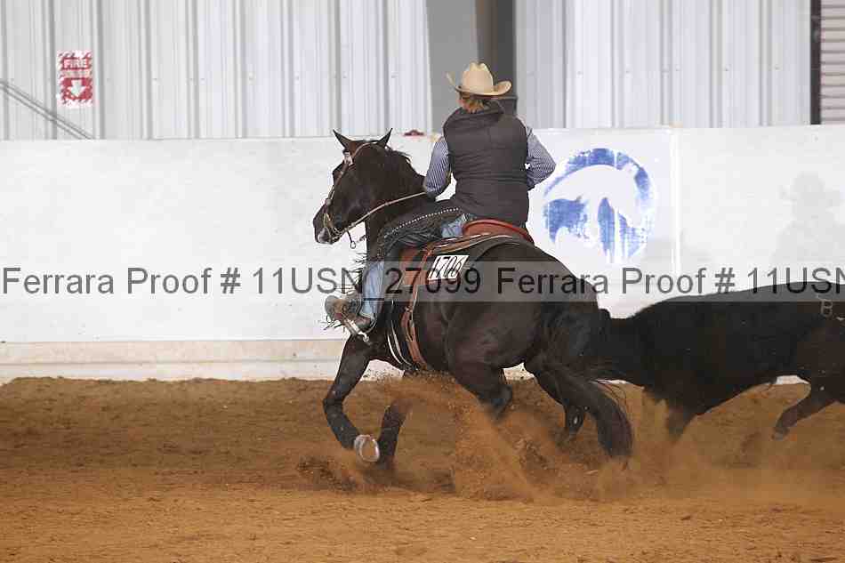 Proof 11usn_27099