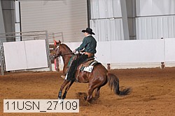 11usn_27109 proof