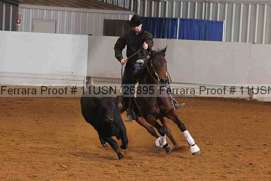Proof 11usn_26895