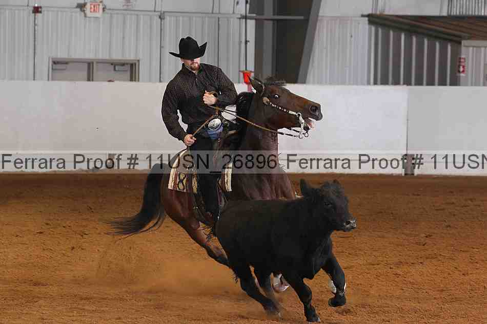 Proof 11usn_26896