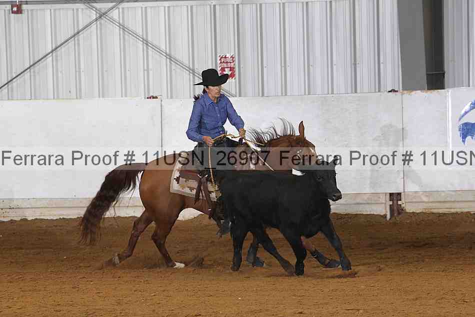 Proof 11usn_26907